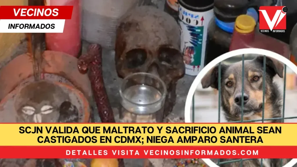 SCJN valida que maltrato y sacrificio animal sean castigados en CdMx; niega amparo santera