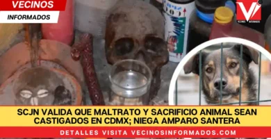 SCJN valida que maltrato y sacrificio animal sean castigados en CdMx; niega amparo santera