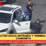 VIDEO: Peatón cruza distraído y termina bajo una camioneta