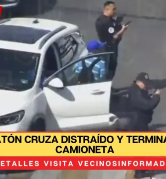 VIDEO: Peatón cruza distraído y termina bajo una camioneta