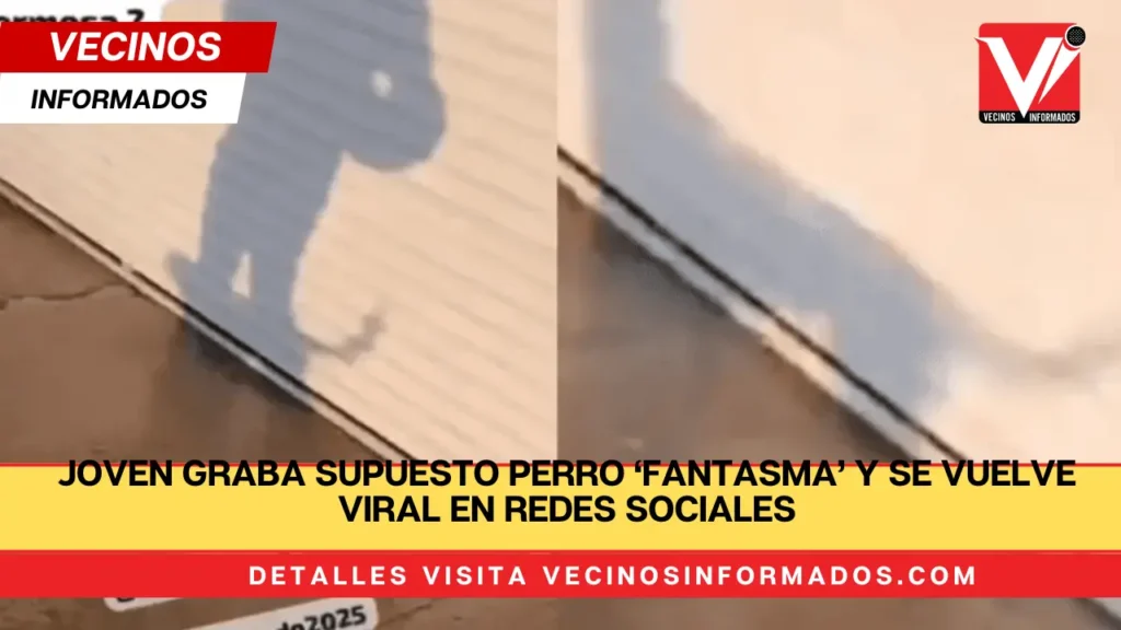 Joven graba supuesto perro ‘fantasma’ y se vuelve viral en redes sociales