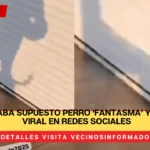 Joven graba supuesto perro ‘fantasma’ y se vuelve viral en redes sociales