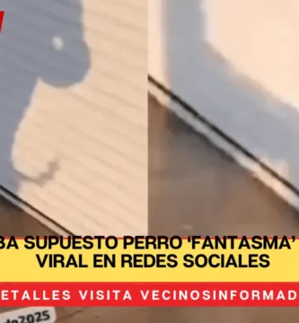 Joven graba supuesto perro ‘fantasma’ y se vuelve viral en redes sociales