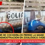 Domador de cocodrilos pierde la mano durante demostración en zoológico |VIDEO