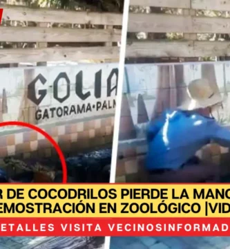 Domador de cocodrilos pierde la mano durante demostración en zoológico |VIDEO