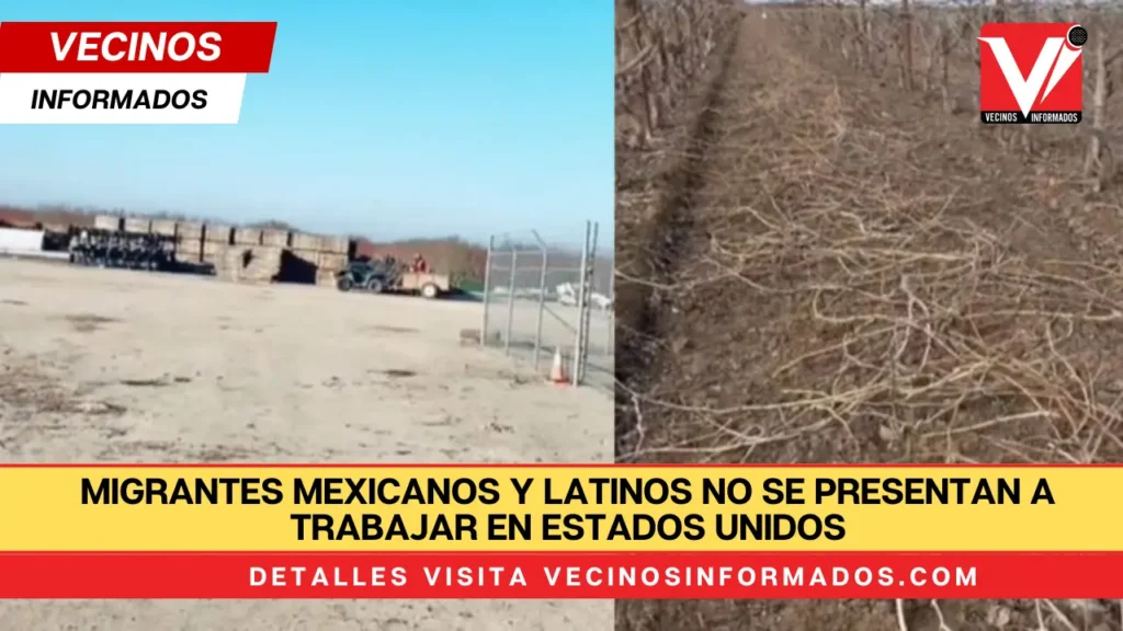 Migrantes mexicanos y latinos no se presentan a trabajar en Estados Unidos