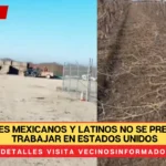 Migrantes mexicanos y latinos no se presentan a trabajar en Estados Unidos