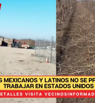 Migrantes mexicanos y latinos no se presentan a trabajar en Estados Unidos