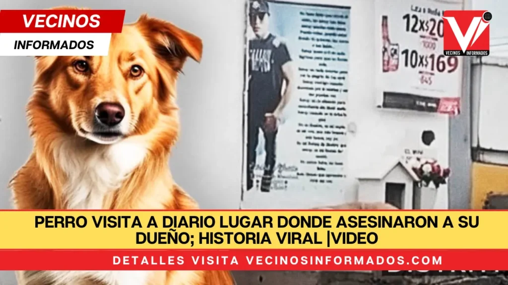 Los usuarios quedaron conmovidos al ver que el perro acude todos los días al lugar exacto en el que murió su presunto dueño. Un perro se hizo viral porque fue captado visitando el lugar en el que asesinaron a su aparente dueño. En las redes sociales abundan historias que conmueven hasta el alma a más de uno. Y eso precisamente sucedió con un lomito que seguramente quería a su dueño con toda su alma.