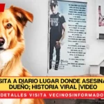 Los usuarios quedaron conmovidos al ver que el perro acude todos los días al lugar exacto en el que murió su presunto dueño. Un perro se hizo viral porque fue captado visitando el lugar en el que asesinaron a su aparente dueño. En las redes sociales abundan historias que conmueven hasta el alma a más de uno. Y eso precisamente sucedió con un lomito que seguramente quería a su dueño con toda su alma.