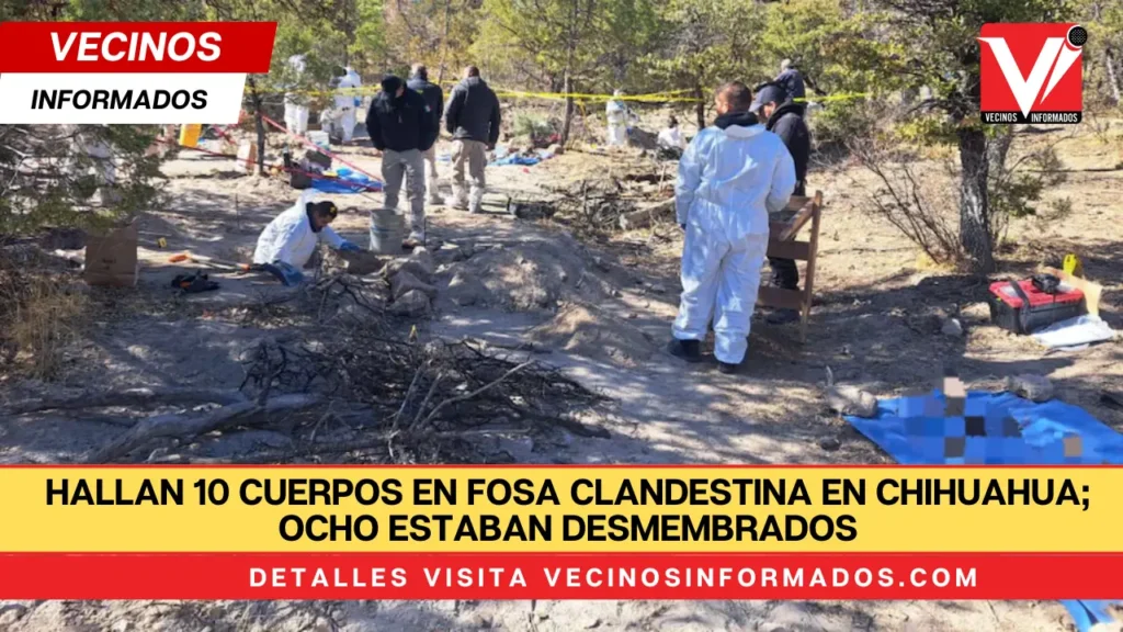 Hallan 10 cuerpos en fosa clandestina en Chihuahua; ocho estaban desmembrados