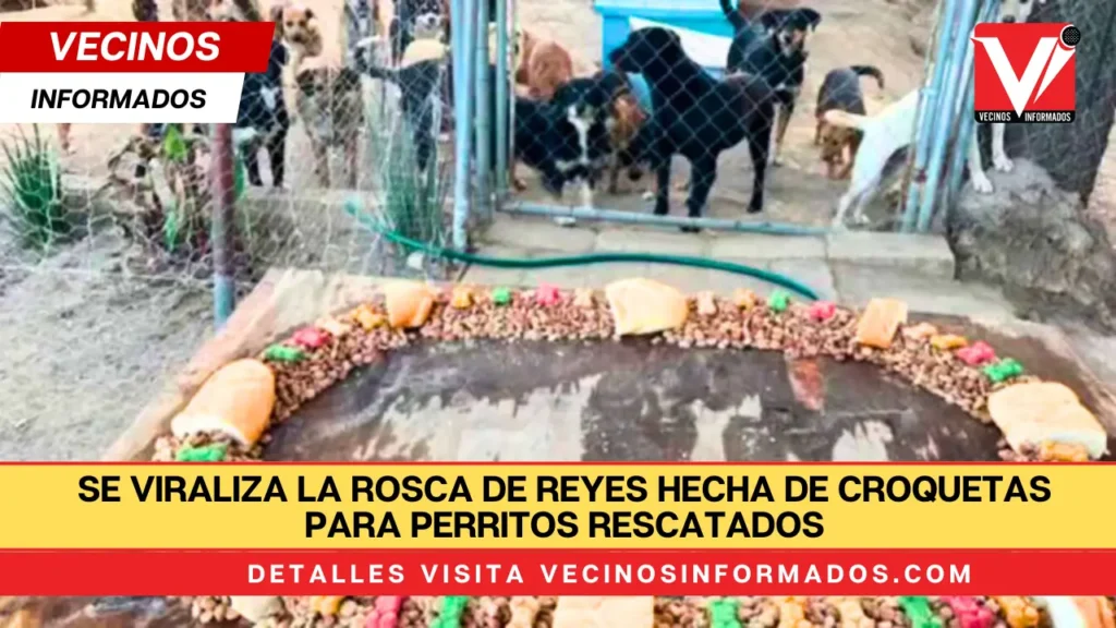 Se viraliza la Rosca de Reyes hecha de croquetas para perritos rescatados