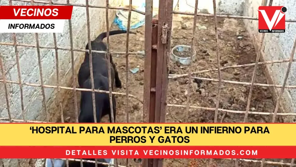 ‘Hospital para mascotas’ era un infierno para perros y gatos