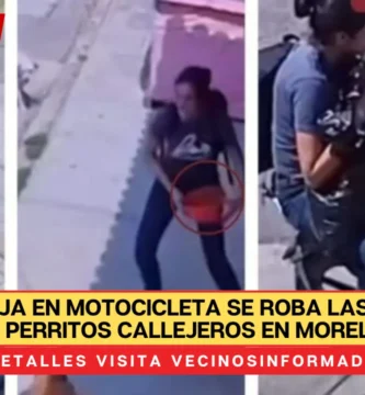 Video: Pareja en motocicleta se roba las croquetas de perritos callejeros en Morelos