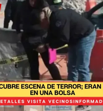 Vecino descubre escena de terror; eran dos brazos en una bolsa