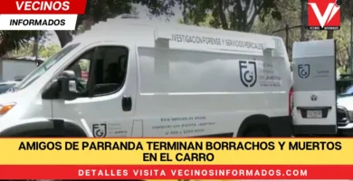 Amigos de parranda terminan borrachos y muertos en el carro