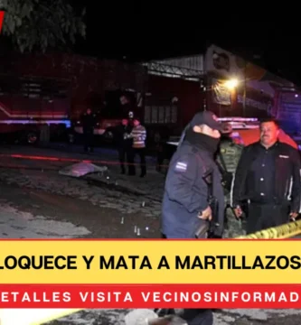 Sujeto enloquece y mata a martillazos a su mamá