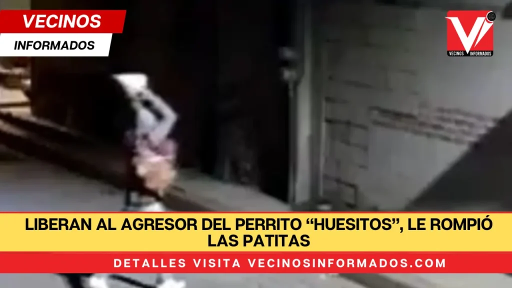 Liberan al agresor del perrito “Huesitos”, le rompió las patitas