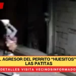 Liberan al agresor del perrito “Huesitos”, le rompió las patitas