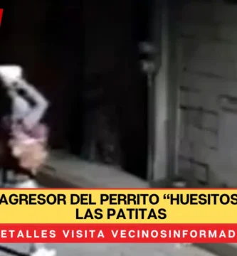Liberan al agresor del perrito “Huesitos”, le rompió las patitas
