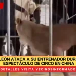 VIDEO: León ataca a su entrenador durante un espectáculo de circo en China con decenas de asistentes