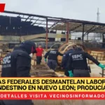 Fuerzas Federales Desmantelan Laboratorio Clandestino en Nuevo León; Producía Drogas Sintéticas