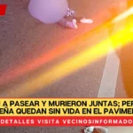 Salieron a pasear y murieron juntas; perrita y su dueña quedan sin vida EN el pavimento