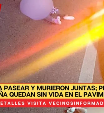 Salieron a pasear y murieron juntas; perrita y su dueña quedan sin vida EN el pavimento
