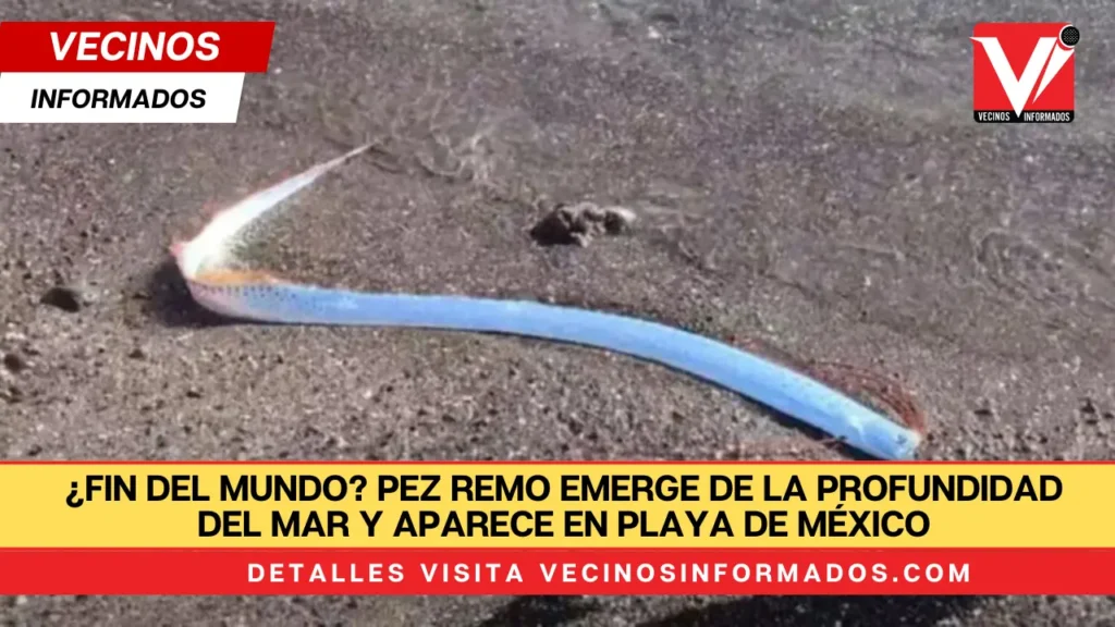 ¿Fin del Mundo? Pez Remo Emerge de la Profundidad del Mar y Aparece en Playa de México