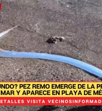 ¿Fin del Mundo? Pez Remo Emerge de la Profundidad del Mar y Aparece en Playa de México