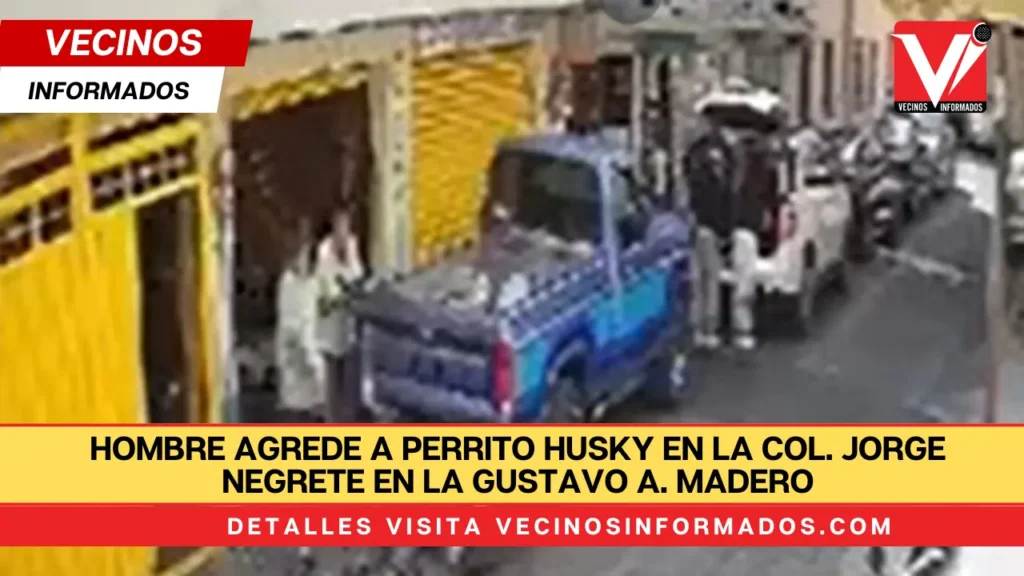 Hombre agrede a perrito Husky en la col. Jorge Negrete en la Gustavo A. Madero