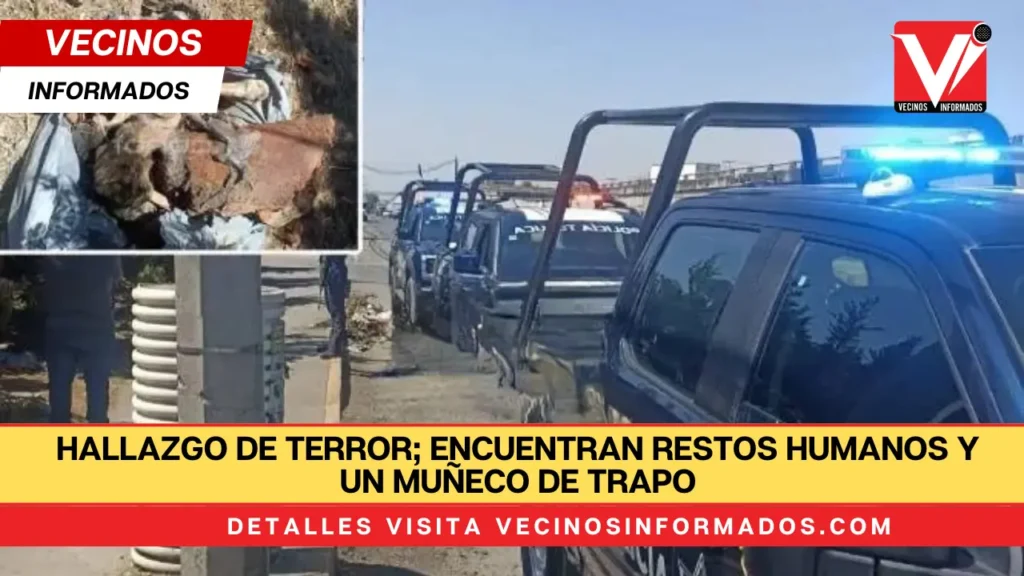 Hallazgo de terror; encuentran restos humanos y un muñeco de trapo