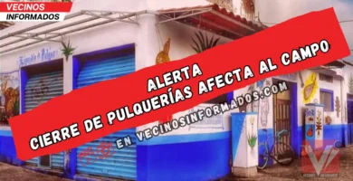 Cierre de pulquerías afecta al campo