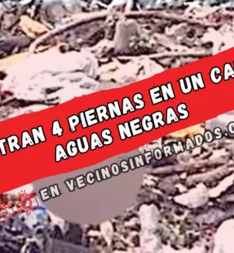 Encuentran 4 piernas en un canal de aguas negras; tenían tatuajes