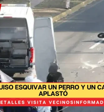 Biker quiso esquivar un perro y un camión lo aplastó