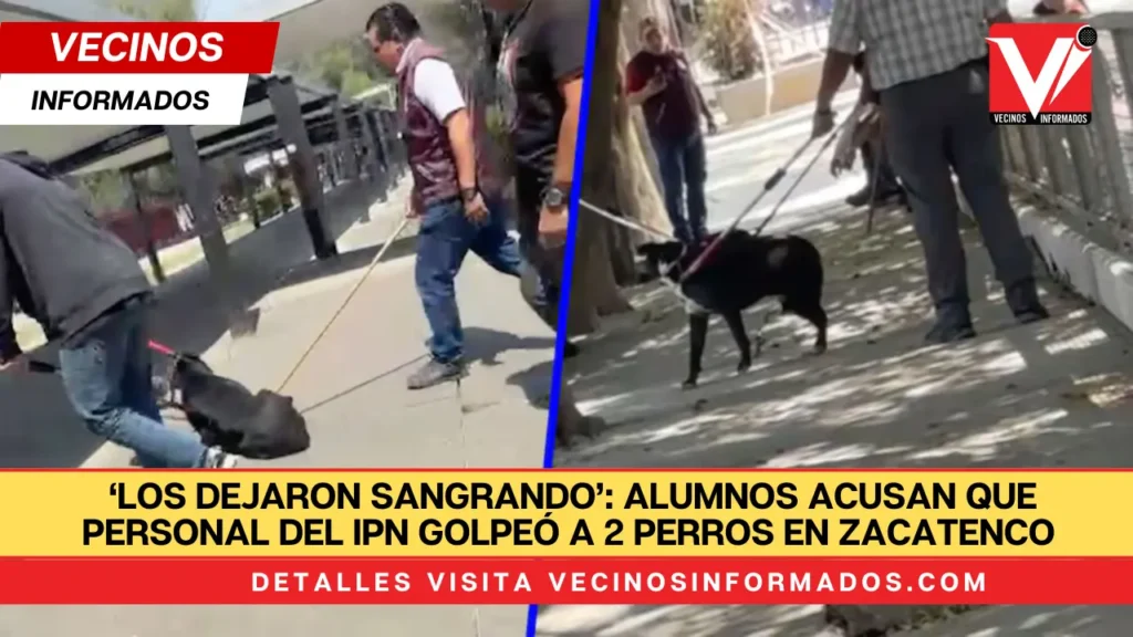 ‘Los dejaron sangrando’: Alumnos acusan que personal del IPN golpeó a 2 perros en Zacatenco (Video)