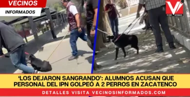‘Los dejaron sangrando’: Alumnos acusan que personal del IPN golpeó a 2 perros en Zacatenco (Video)