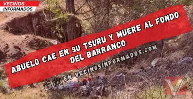 Abuelo cae en su Tsuru y muere al fondo del barranco