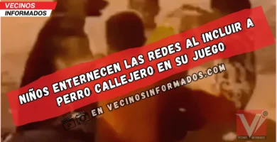 Niños venezolanos incluyen a perro callejero en su juego y el video se vuelve viral por su ternura