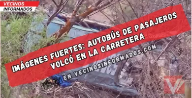 Accidente en carretera Zoquitlán–Coxcatlán: Autobús cae a barranca y deja 5 muertos y 13 herido