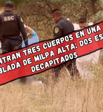 Encuentran tres cuerpos en una zona despoblada de Milpa Alta; dos estaban decapitados