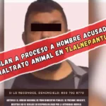 Vinculan a proceso a hombre acusado de maltrato animal en Tlalnepantla